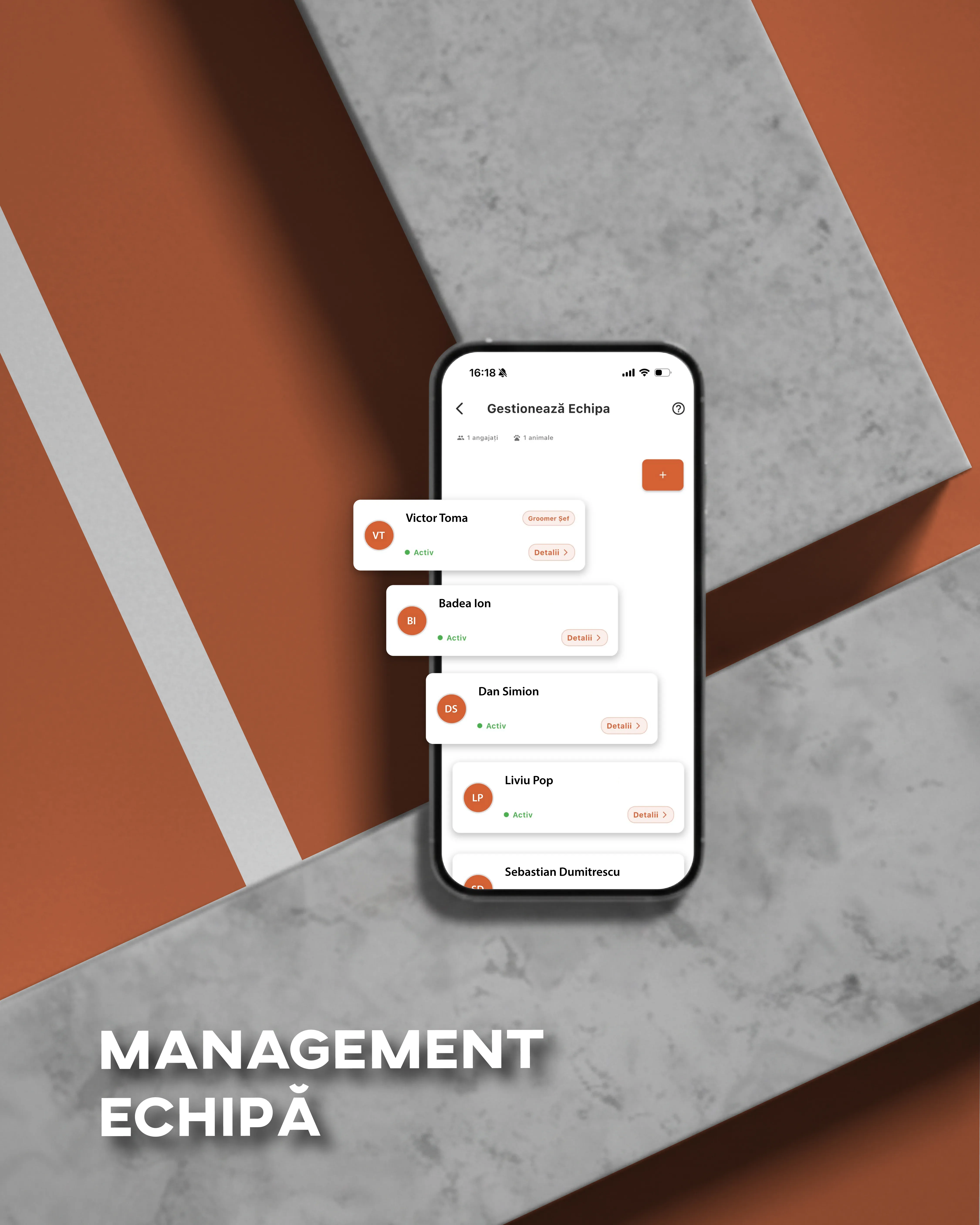 Management Echipa & Program