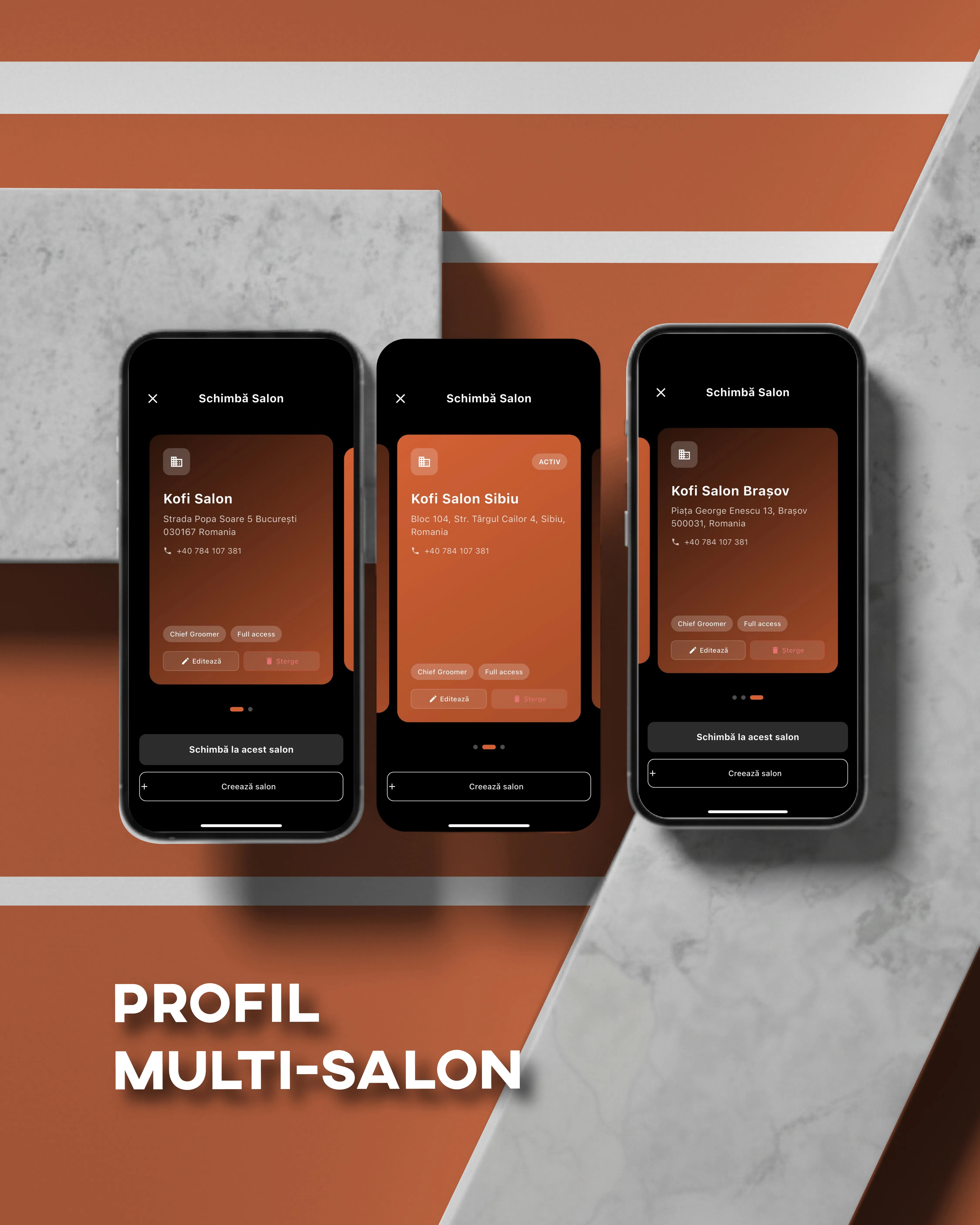 Management Multi-Locatii