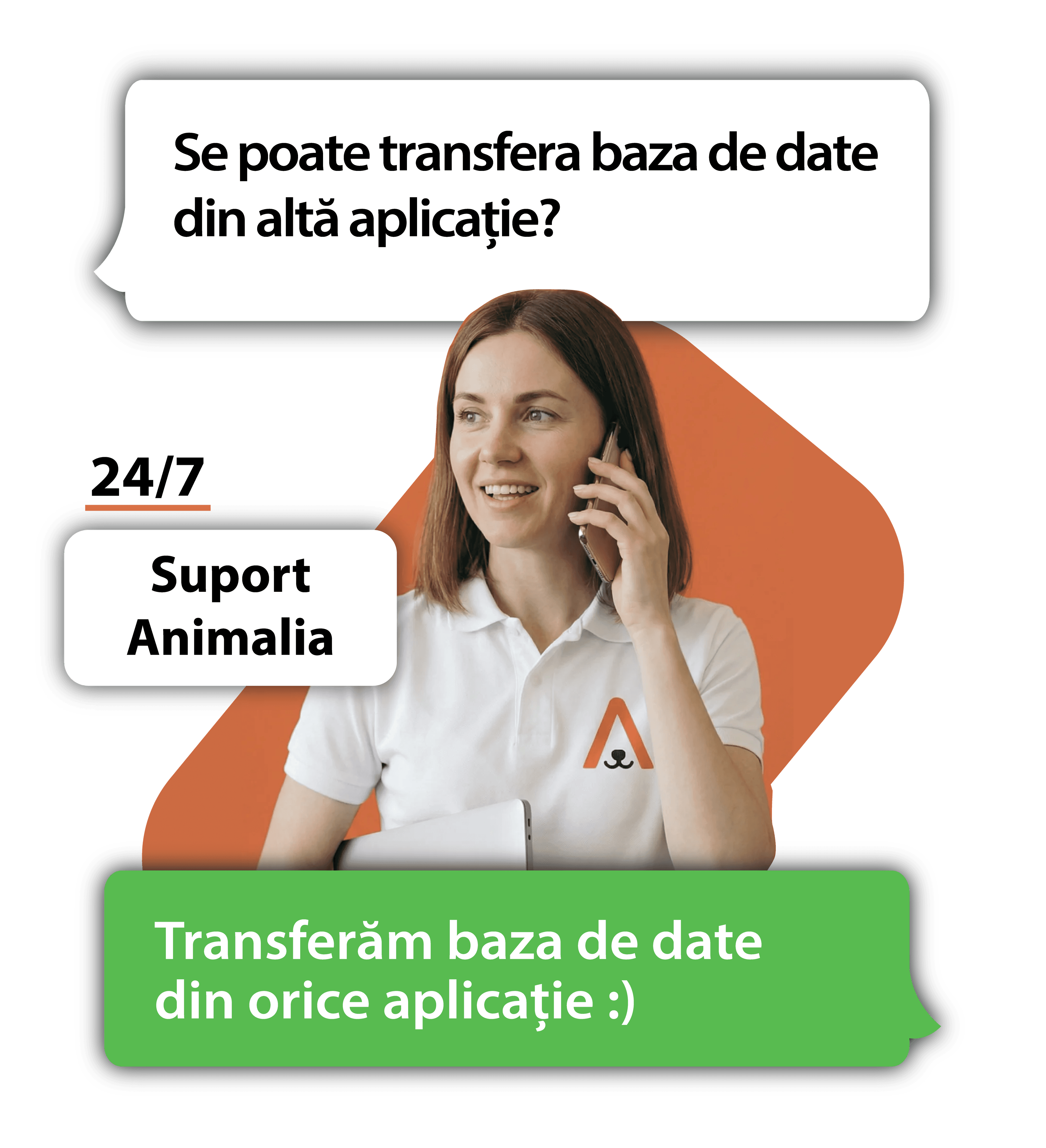 Support Animalia - transfer baza de date