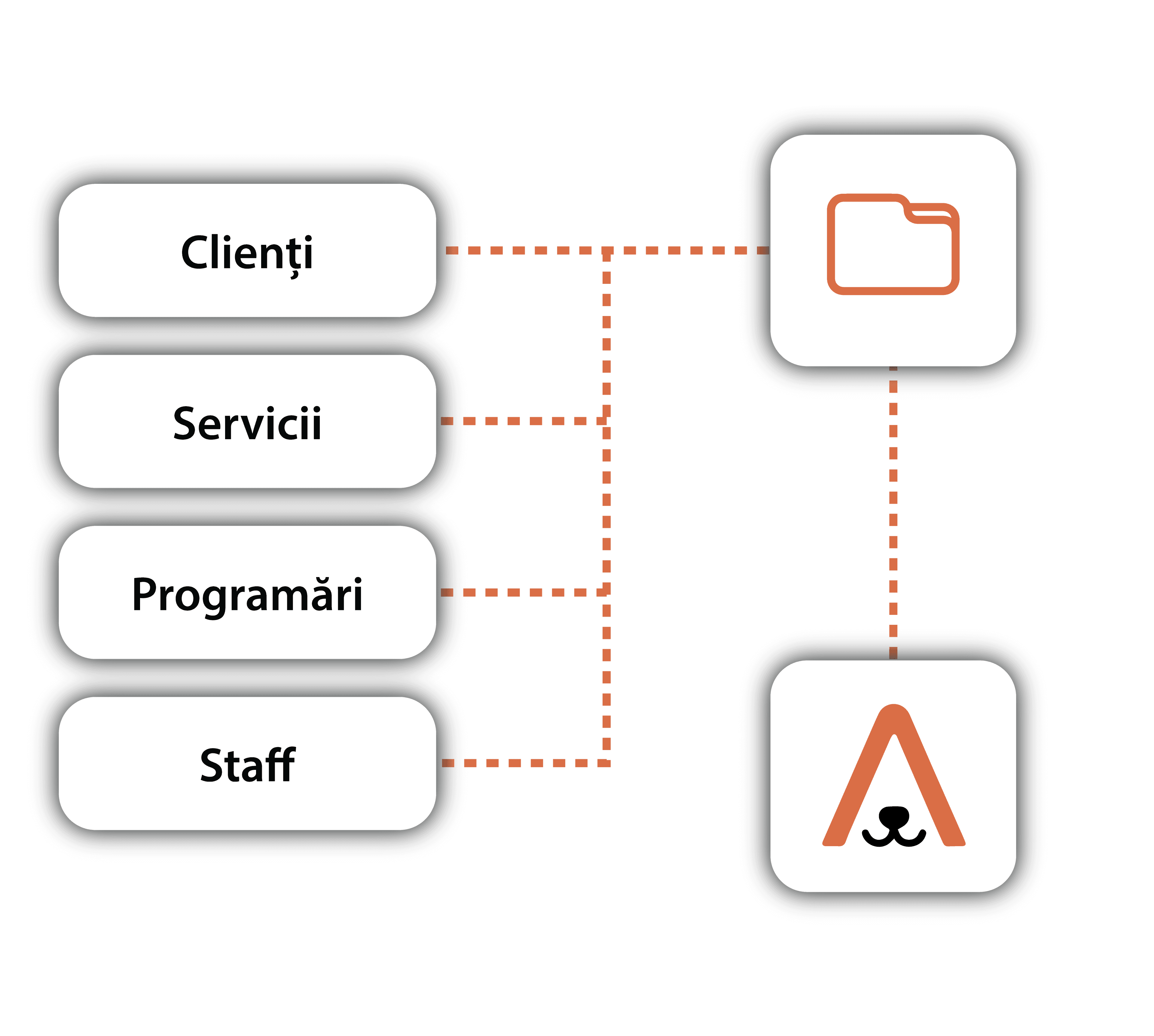 Transfer date: clienți, servicii, programări, staff