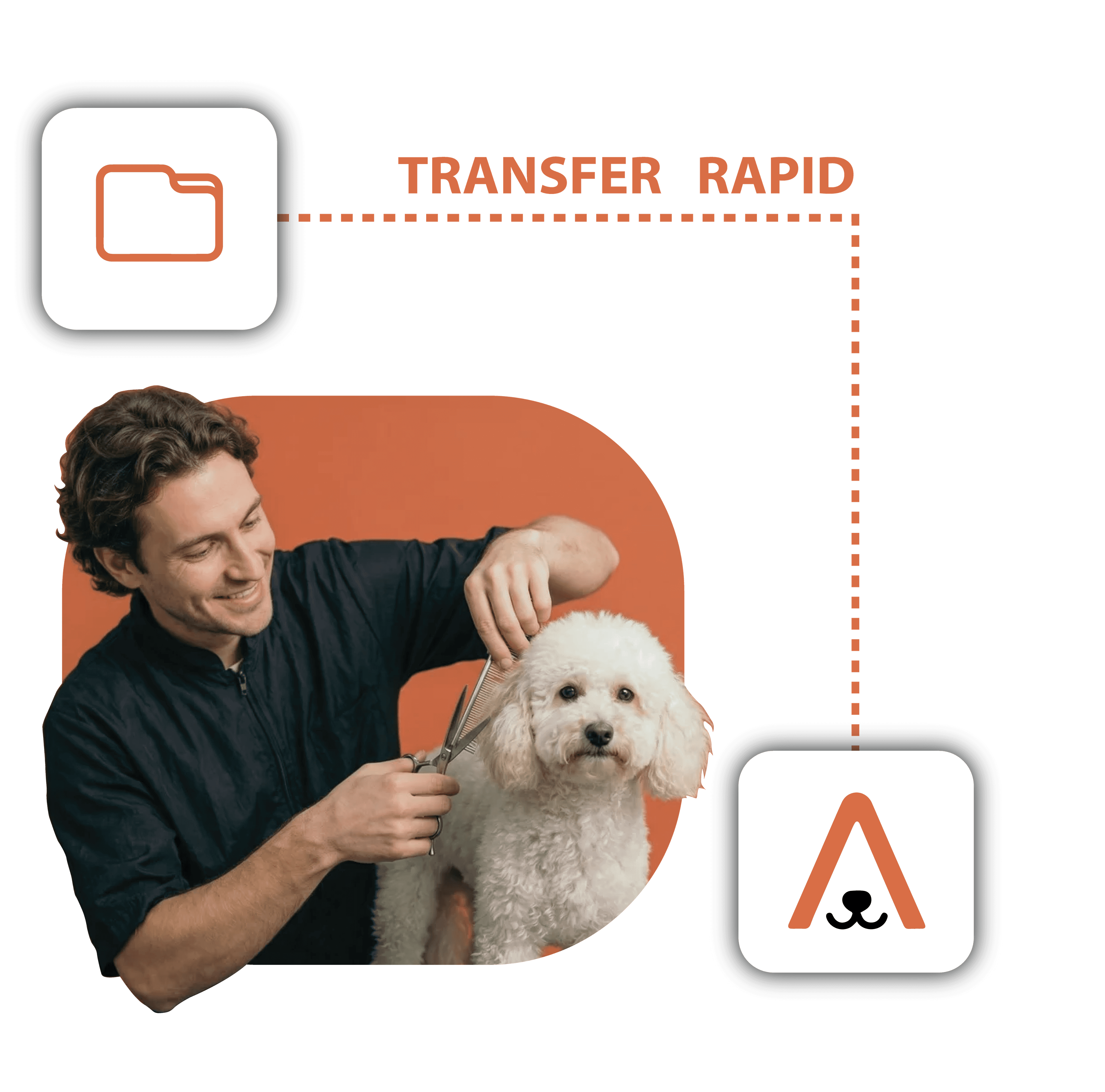 Transfer rapid - activitatea continuă