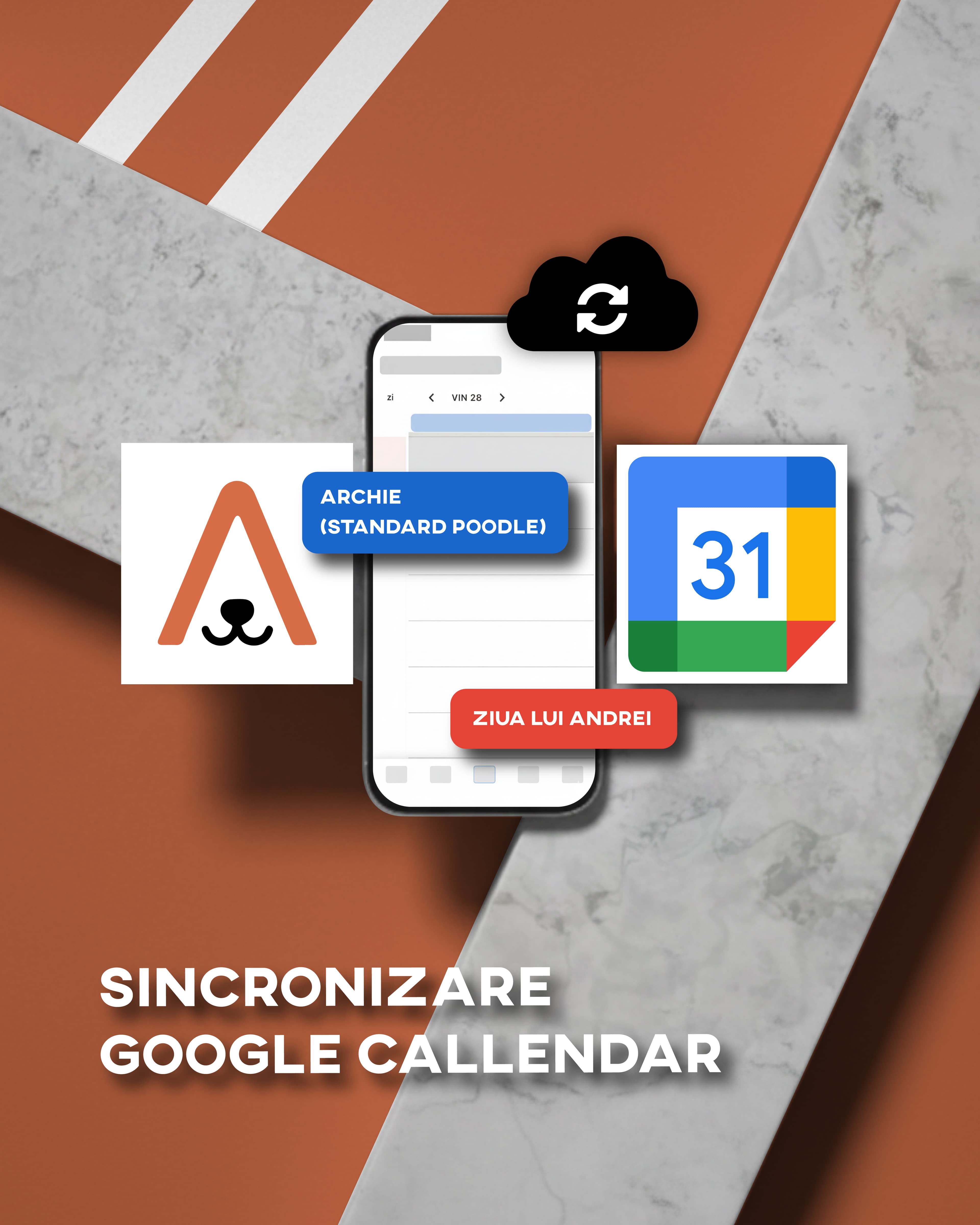Sincronizare Google Calendar