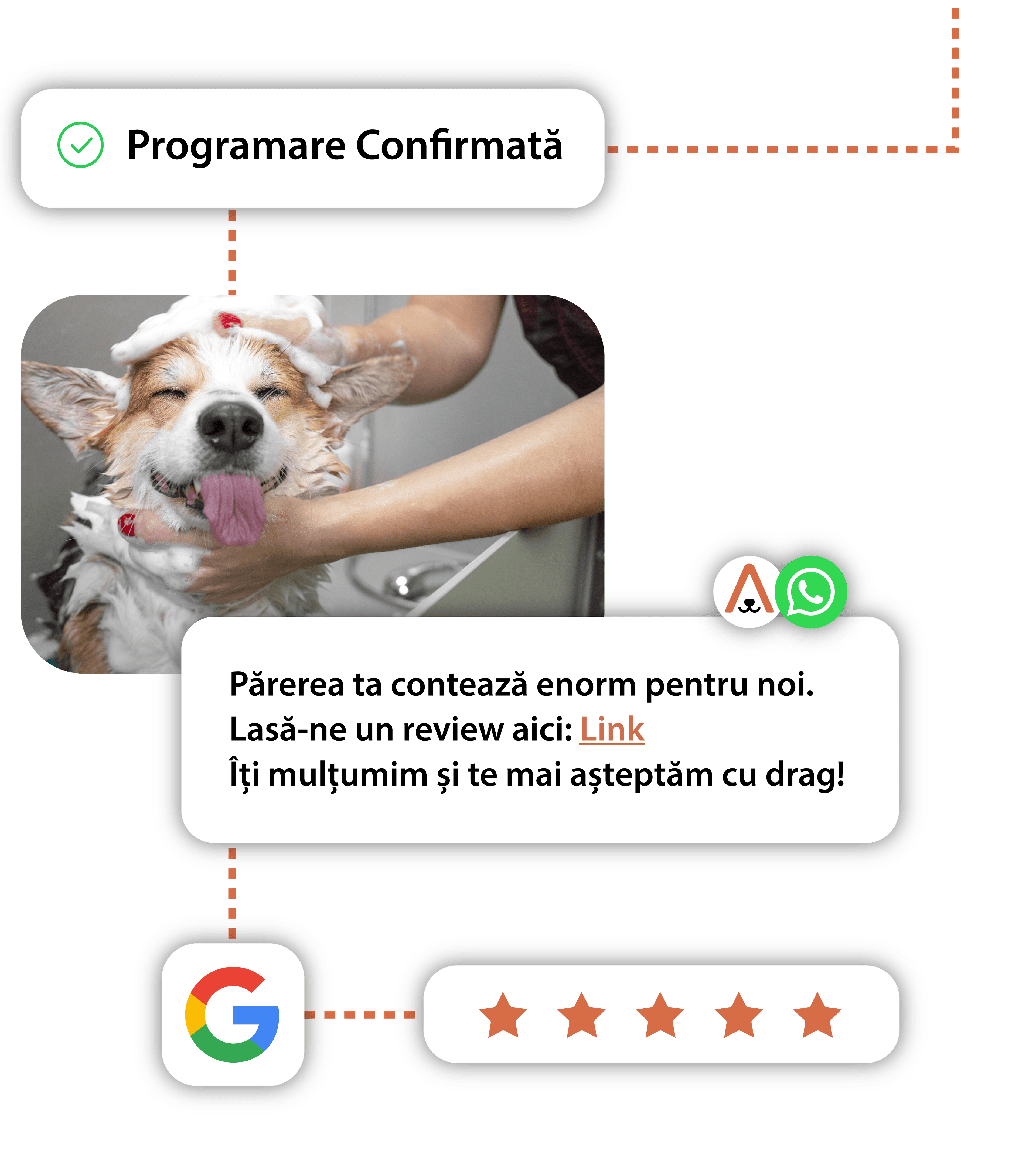 Colectare automată de recenzii