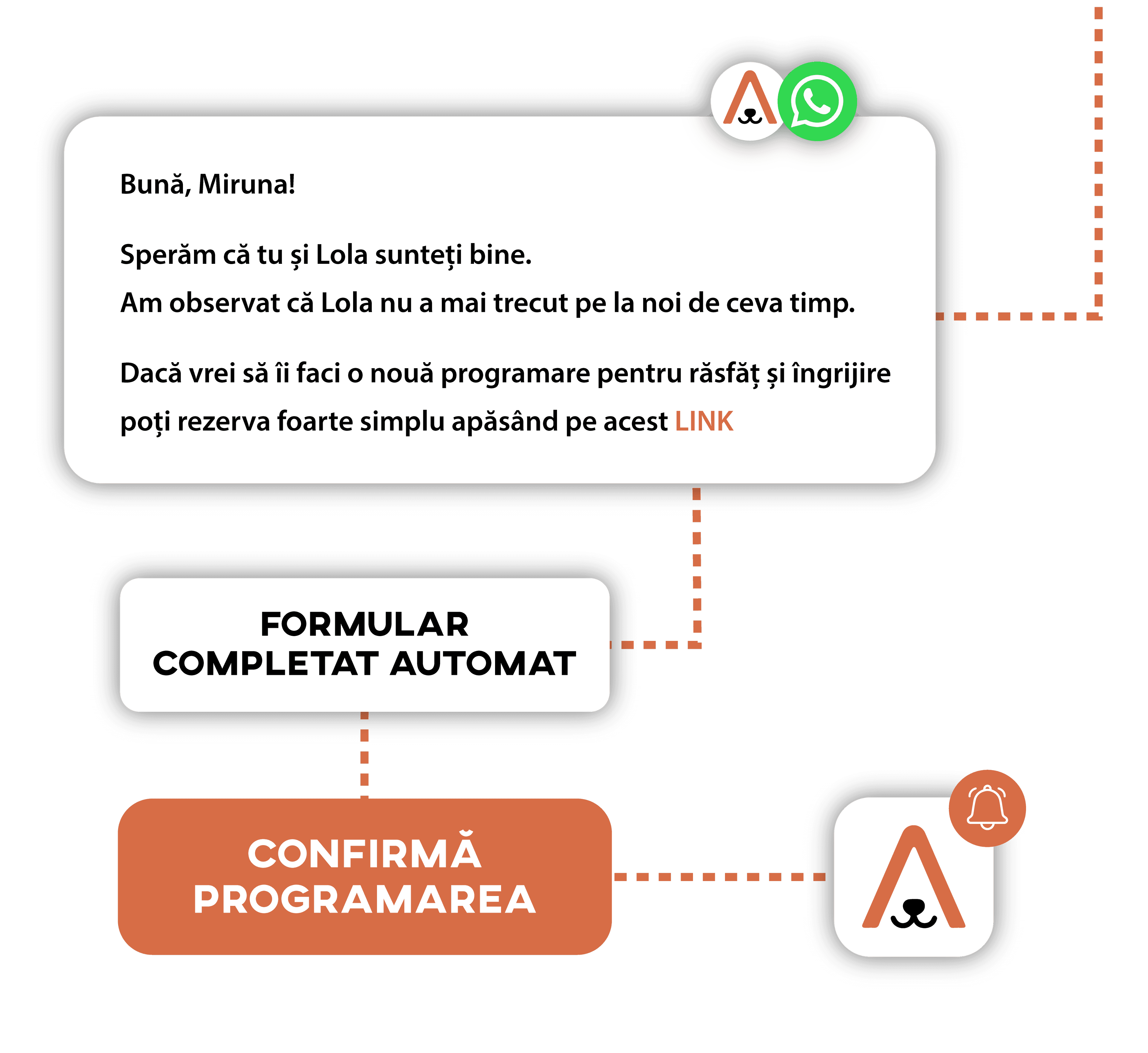 Mesaje WhatsApp automate