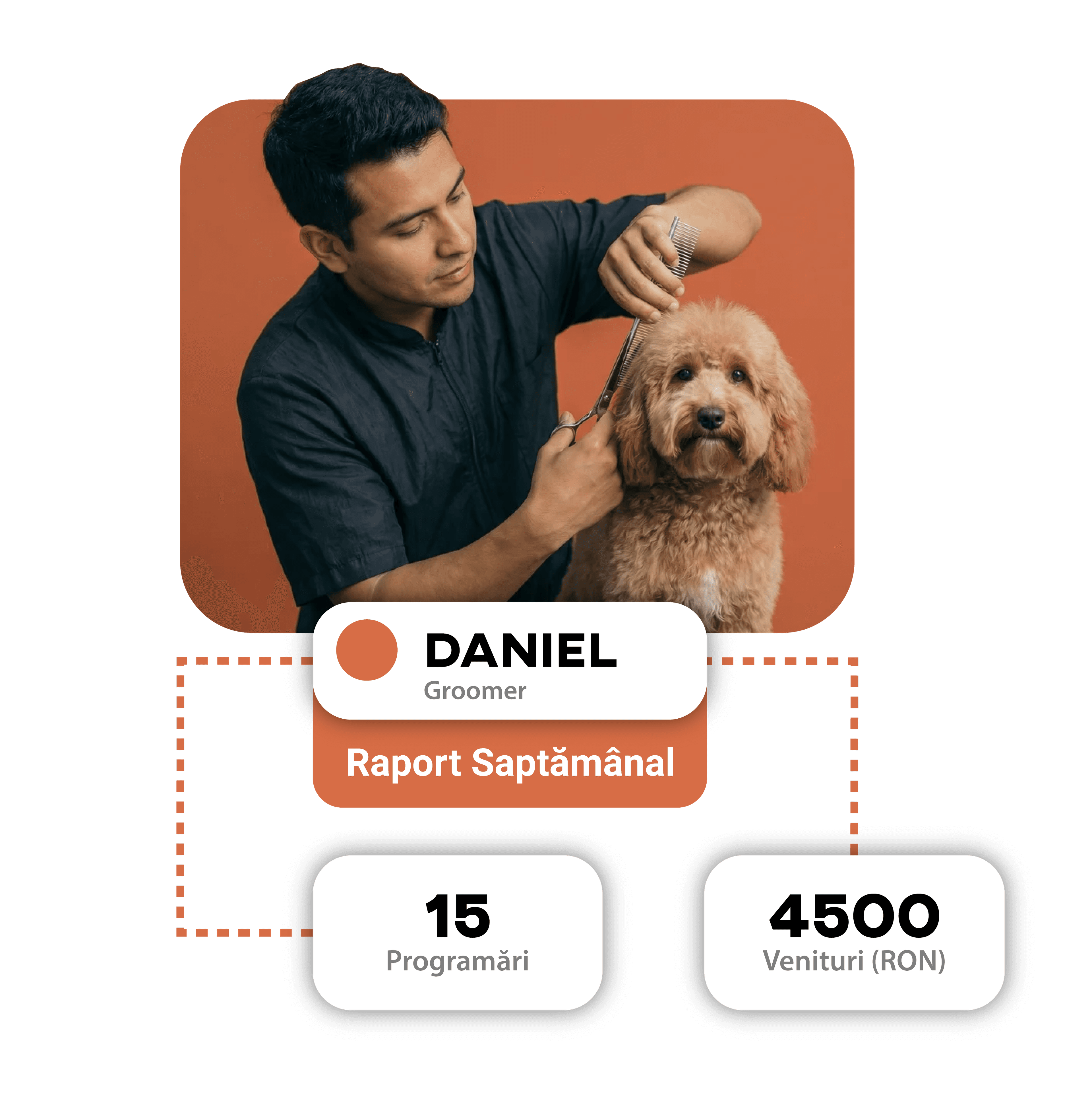 Distribuția animalelor și cele mai populare rase